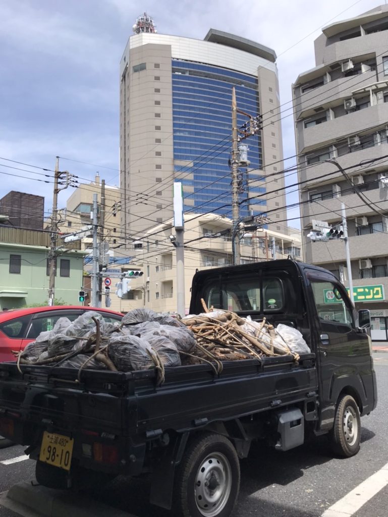 剪定後の枯れ枝と枯れ葉の搬出、練馬区役所前