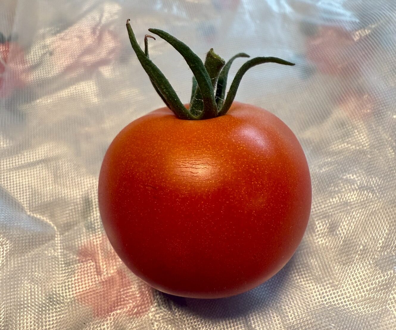 トマト