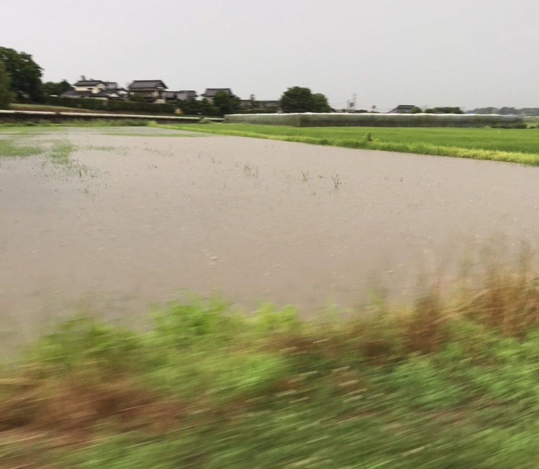 直後に大雨が振り、水不足が解消