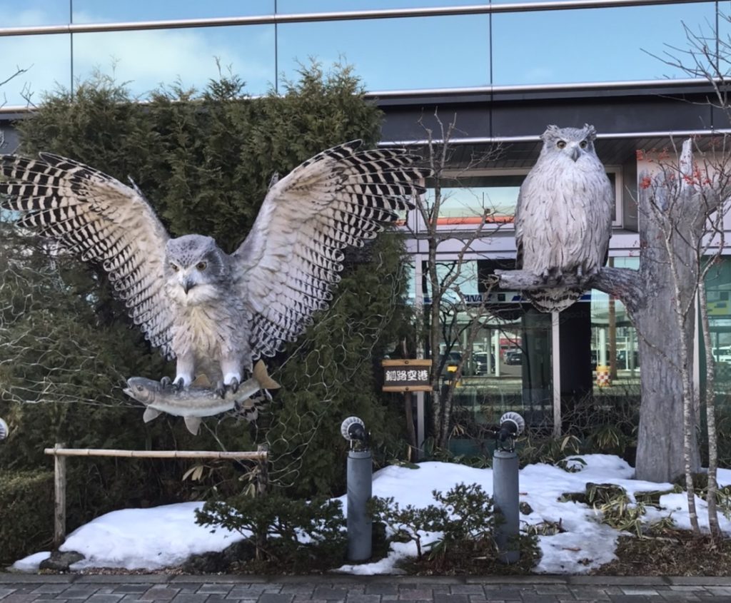 シマフクロウ、釧路空港